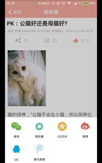 娱乐吃瓜酱猫叫